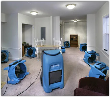 Water Mitigation Services in Boaz, AL