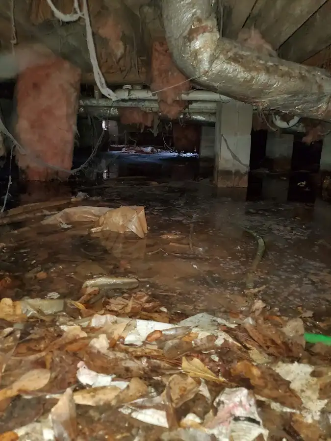 Crawl space flood assessment for Leak Detection & Repair in Boaz